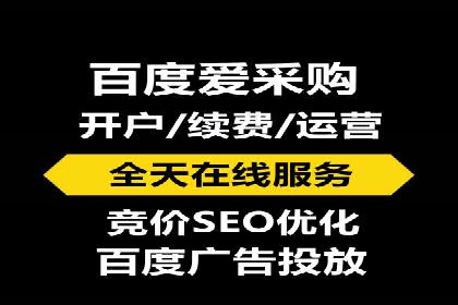 SEM外包策略在电商平台的成功案例